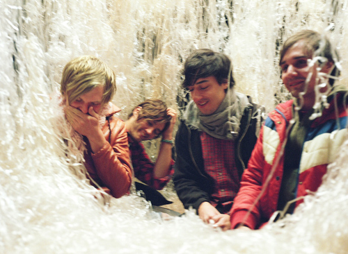 Grizzly Bear: Veckatimest Album Review Pitchfork